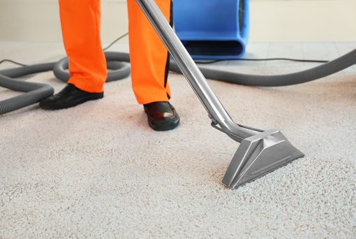 5 Best Carpet Cleaners in Brighton - Fresh floors and healthier homes