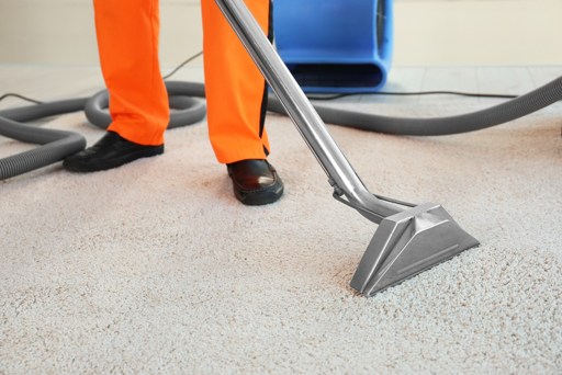 5 Best Carpet Cleaners in Brighton - Fresh floors and healthier homes