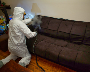 5 Best Bed Bug Exterminators in New York - Explore thorough treatments that target infestations at the source